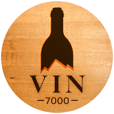 Vin 7000 Logo